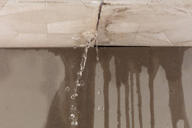 Professional Water Damage Repair technician working in Summit Station, PA